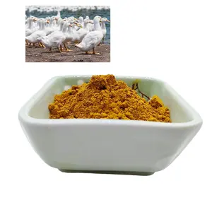 Plantaardige Bulk Kurkuma Curcumine Wortel Extract Poeder E5 E16 E32 95% Curcumine Poeder