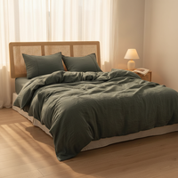 Parure de lit 3 pièces en lin français 100 % naturel pur, housse de couette, drap plat, doux, respirant, anti-humidité, lavé, 200 fils/cm²