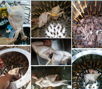 Machine à plumer les poulets à haute efficacité en plumes d'oie / nettoyage automatique des plumes utilisée pour le traitement des plumes de dinde / d'autruche