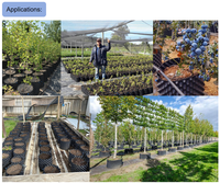 Pot de taille aérienne en HDPE respirant de 1 gallon pour le contrôle des racines, idéal pour la croissance rapide des arbres, des fleurs et des plantes de jardin