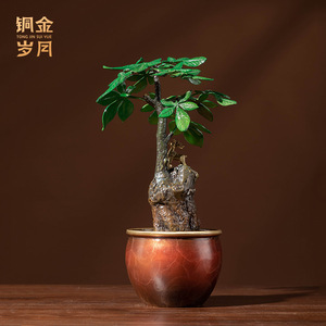 Árbol del Dinero de Cobre y Oro, Adorno de Latón, Planta Simulada Redonda, Bonsái de la Suerte, Decoración Artística Hecha a Mano para Sala de Estar - Product Image 4