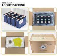 Batterie LiFePO4 Grade A+ REPT 314Ah 8000 Cycles à Décharge Profonde pour Stockage Solaire - 0% TVA DDP Sans Taxe pour les Marchés UE/US