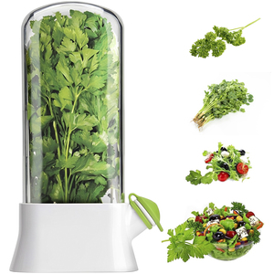 Cross-border Vanilla Vegetable Fresh-keeping Box Dust-proof Anti-pressure Environmental Fresh-keeping Device - Product Image 1
