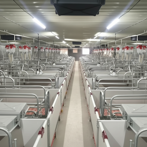 Système de caisse de mise bas moderne en acier galvanisé Rampes réglables Conception anti-écrasement Complet Automatique 20-25 ans de service Porc - Product Image 1