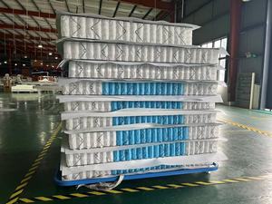 Giá Rẻ Chất Lượng Tốt Hơn Nữ Hoàng Vua Kích Thước Người Già Công Ty Hỗ Trợ Chỉnh Hình Túi Mùa Xuân Nệm Màu Đen Cho Phòng Ngủ Cuộn Trong Hộp - Product Image 6