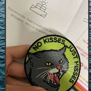 Pas de bisous juste sifflements Patch végétalien adhésif drôle amoureux des chats en colère fer ou coudre sur des patchs brodés brodés - Product Image 3