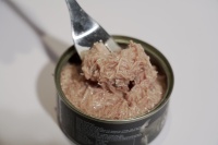 Nourriture humide pour chien en conserve 85g, nourriture en conserve pour la santé intestinale, probiotiques et prébiotiques ajoutés, nourriture pour animaux de compagnie en vrac, OEM