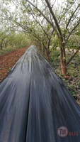 Toile de paillage agrotextile en PP pour couverture du sol, produits plastiques agricoles