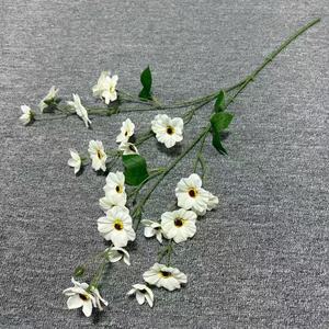 Fiori Conservati di Alta Qualità, Pansé Eterne, Fiori Secchi a Forma di Farfalla per Decorazioni per Feste - Product Image 1