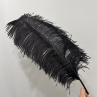 Plumes d'autruche noires à plumes complètes de 10 à 30 pouces, motif teint multicolore, pour décoration de carnaval, mariage, scène, costume