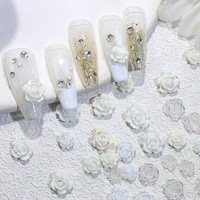 Haute qualité blanc Transparent couleur fleur forme 3D jolie décoration des ongles Nail Art fournitures accessoires