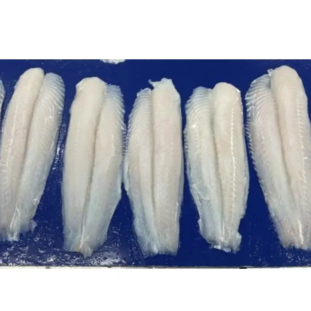 Dondurulmuş pangasius fileto pangasius temel balık