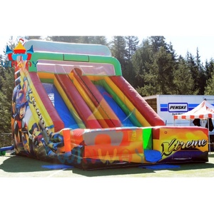 กระดานลื่นเป่าลมพีวีซีสำหรับเด็กและผู้ใหญ่ใช้ในเชิงพาณิชย์แบบกำหนดเอง<span class=keywords><strong>2025</strong></span> - Product Image 1