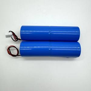 Batteria Li-ion Personalizzata 2S1P ER34615 ER26500 ER18505 ER17505 7.2V 19Ah 9Ah 4Ah Batteria Primaria LiSoCl2 per Dispositivi IoT Domestici - Product Image 1