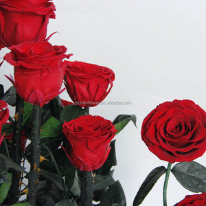 Rose éternelle en gros d'usine, fleur préservée <span class=keywords><strong>Secret</strong></span> Garden, décoration de mariage, coffret cadeau de luxe, essentiel pour les mariages - Product Image 2
