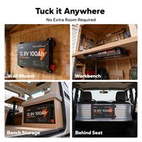 LiTime 12V 100Ah Baterai Ultra Tipis LiFePO4 Deep Cycle dengan Bluetooth dan Pemanas Otomatis IP65 untuk Sistem RV, Kelautan, dan Off Grid