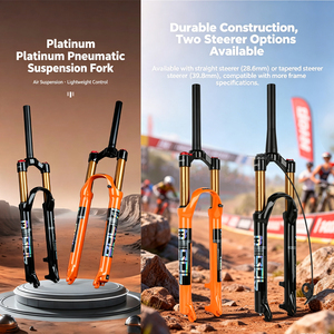 <span class=keywords><strong>Fourche</strong></span> avant de vélo de montagne à suspension pneumatique 27,5 29 <span class=keywords><strong>pouces</strong></span> avec système de déverrouillage rapide Platinum Pneumatique 29er Downhill Mtb <span class=keywords><strong>Dh</strong></span> Forks - Product Image 5