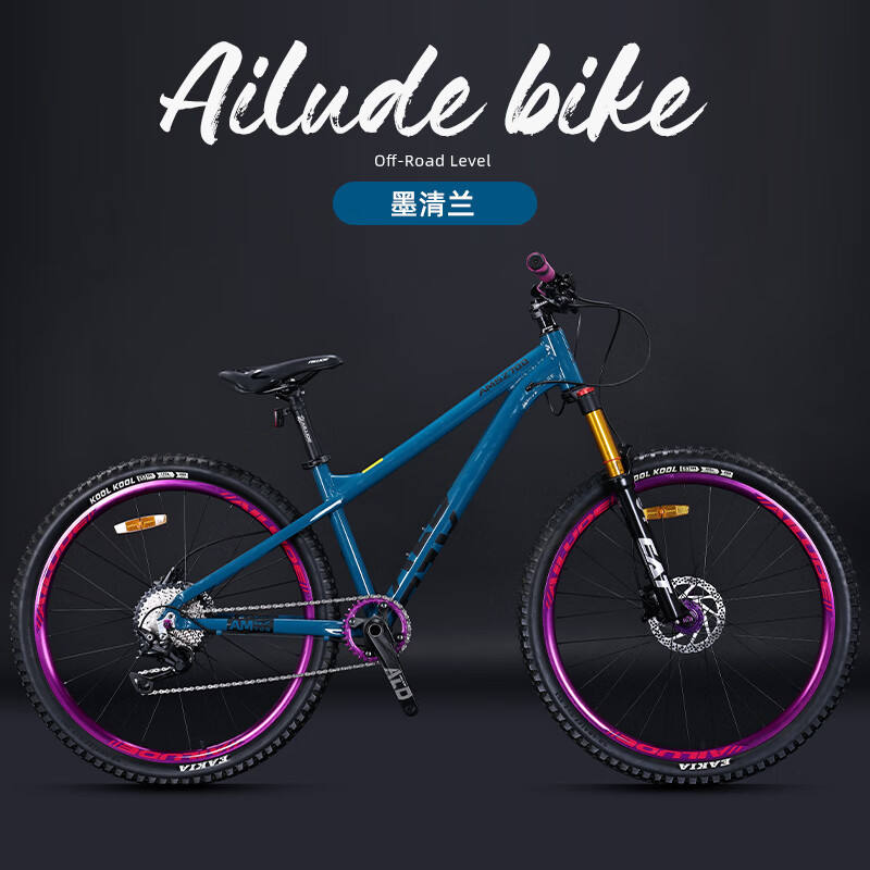 Shimano 4100 Qing Lan à 10 vitesses