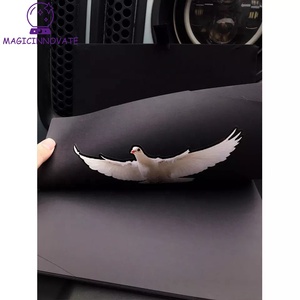 Tours magiques œufs donner naissance à des Pigeons merveilleux Gimmick scène magique pour fête annuelle adultes jouet magique livre noir accessoires magiques - Product Image 4