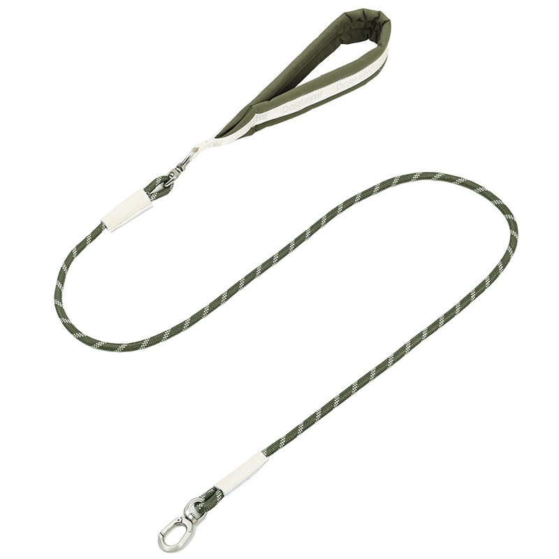 Green leash
