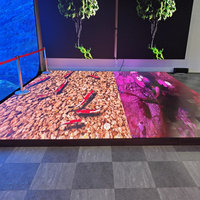 3D-Spiegel LED-Tanzfläche P1.9 P2.5 P2.6 Interaktive LED-Tanzfläche für den Innenbereich Display Panel Mall Booth Floor Tile