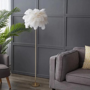 Nouveau Style plume lampadaire chevet blanc rose plume d'autruche coin debout lumière pour salon - Product Image 2