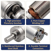 Motor de Engranajes Planetarios de Precisión Waillynice de 16 mm, 12 V, Alto Torque, Reemplazo para Motor BLDC sin Núcleo Maxon Faulhaber