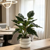 Plante artificielle à feuilles larges en pot avec pot blanc ondulé, décoration moderne pour la maison, le bureau, la table, en polyester, Noël
