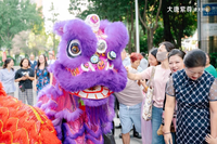 Lion danse dessin animé Costume Performance accessoire lion chinois danse Performance Double robe célébration série rouge