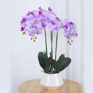 Fleurs artificielles d'orchidées Phalaenopsis en PU de haute qualité pour les décorations de mariage et de Noël, échantillon gratuit - Product Image 6