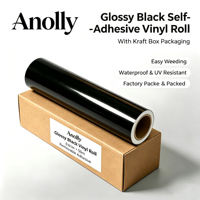 Film vinyle noir brillant amovible compatible avec la machine Cricut, 0,61 m * 50 m, vente en gros d'usine, prêt à être expédié