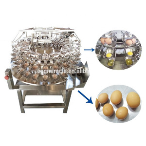 Máquina industrial automática para romper grietas de huevos Equipo de procesamiento de separación de líquidos de huevos - Product Image 1