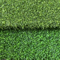 Terrain de golf miniature en gazon artificiel pour le jardin, pour le divertissement familial, conception de paysage DIY