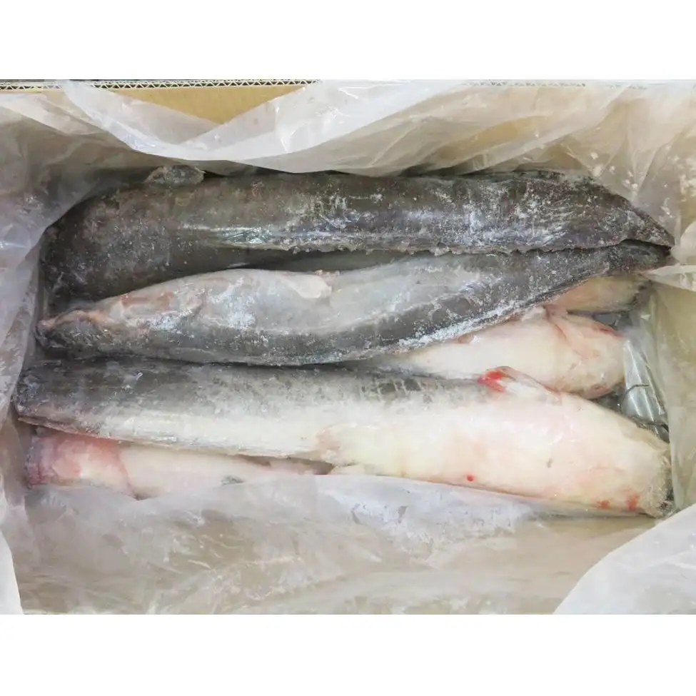 Neuer Fang China Origin Farm Raised Frozen Catfish