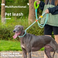 Laisse double pour deux chiens - Anti-explosion et anti-chute, laisse extensible en PVC à porter en bandoulière
