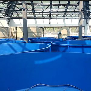 Хит продаж: Круглый аквариум/пруд из стеклопластика для рыбоводства, высококачественный, коррозионностойкий, для наружного использования - Product Image 3