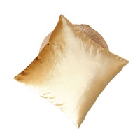 Housse de coussin en velours épais avec feuille d'or, taie d'oreiller de luxe pour canapé, housse de coussin personnalisée pour chambre à coucher – Vente chaude