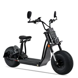 Múltiples estilos 1500W 45 km/H alta velocidad rápido eléctrico Cruiser motocicleta bicicleta E Scooters alta velocidad deportes al aire libre bicicleta eléctrica