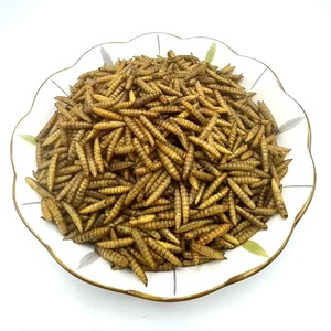 Bán buôn Hữu Cơ đen lính Fly ấu trùng bột ăn được bsfl bữa ăn côn trùng protein Đen Worms - Product Image 1