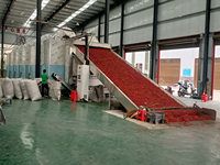Meerlaagse continue mesh-banddroogmachine met hete lucht voor fruit, gember, chili, ui, groenten, bananenchips, druiven en cassave