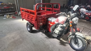 Approvisionnement Chine Vente en Gros Tricycle Cargo Motorisé à Essence <span class=keywords><strong>3</strong></span> Roues 200cc 250cc pour l'Agriculture - Product Image 5