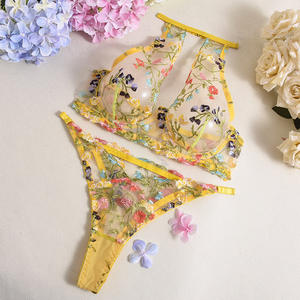 Premium Embroidered Underwear Mesh Embroidered Gathering Deep V Breastfed Hanging Neck Underwear Two Piece Set for Women - Product Image 5