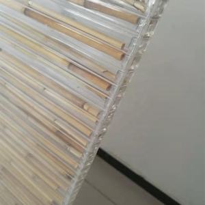 8 मिमी और 10 मिमी पीसी शीट पॉलीबांस पैनल आधुनिक छत डिजाइन के लिए पारदर्शी बांस खोखली पॉलीकार्बोनेट शीट - Product Image 6