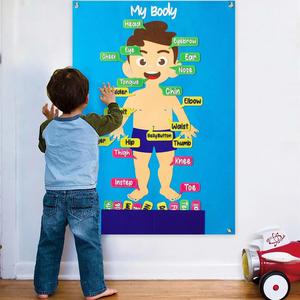 Kit interactif d'apprentissage précoce pour enfants d'âge préscolaire : Tableau d'histoires sur les parties du corps en feutre, enseignement éducatif des organes humains, rangement inclus - Product Image 1