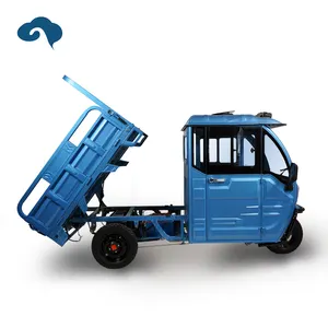 Manufacturers Supply OEM Services Popular Passenger Roof Optional 1500W 1 Ton Loading Capacity Electric Cargo Tricycle