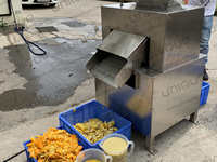 Commerciële Industriële Automatische Vruchtensap Citroenpers Extractor Citrus Juicer Afzuigmachine Sinaasappelpers