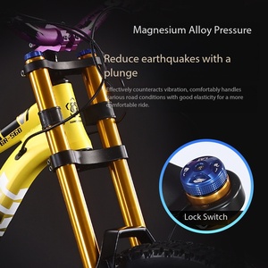 Bicicleta de Montaña Profesional para Descenso con Frenos Hidráulicos, Neumáticos CST 2.2, 10 Velocidades, Suspensión Completa y Cuadro de Aluminio - Product Image 3