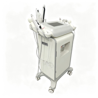 Appareil de beauté pour salon, machine à jet d'oxygène T-12 8 en 1, hydrodermabrasion