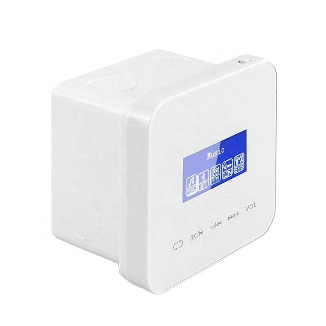 Professional Smart 1.7 Inch LCD 2x20W for Home Amplifier 4-8 Ohm Wall Mount for Ceiling Speakers Sound Music Features