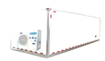 Bán Buôn Giá Tàu Sân Bay Thương Hiệu Mới 20 Ft Lạnh Container Tủ Lạnh Lưu Trữ Container Cho Trứng Trái Cây